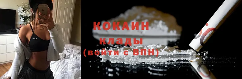 купить наркотики цена  Вилючинск  Cocaine Эквадор 